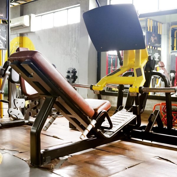 Gym Leg Press Machine in India