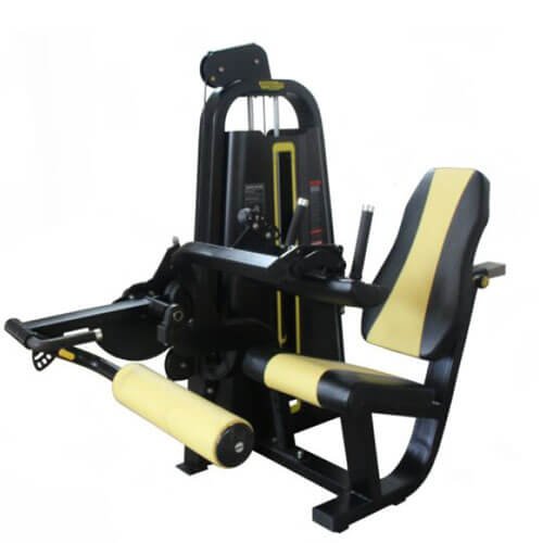 Leg Extension and Curl Machines India