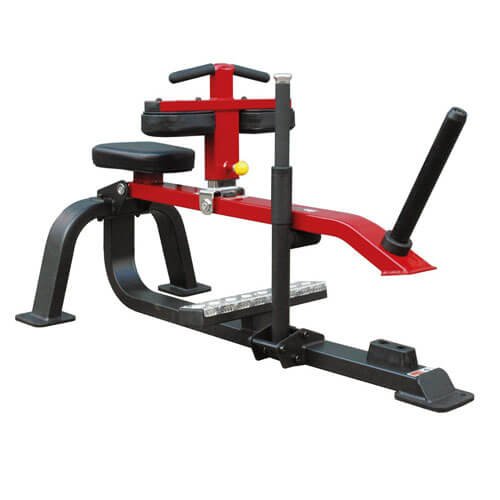 Seated Calf Raise Machine in India